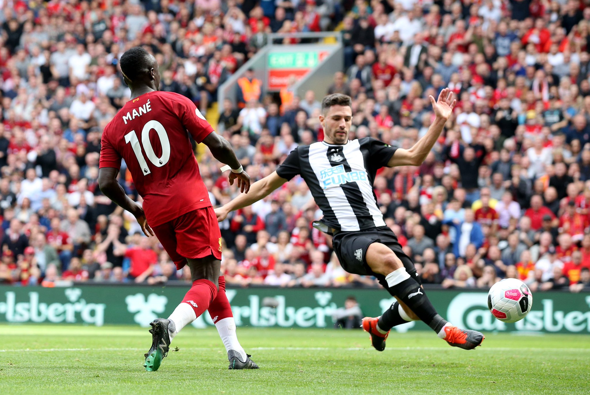 葡体展现了 葡体展现了