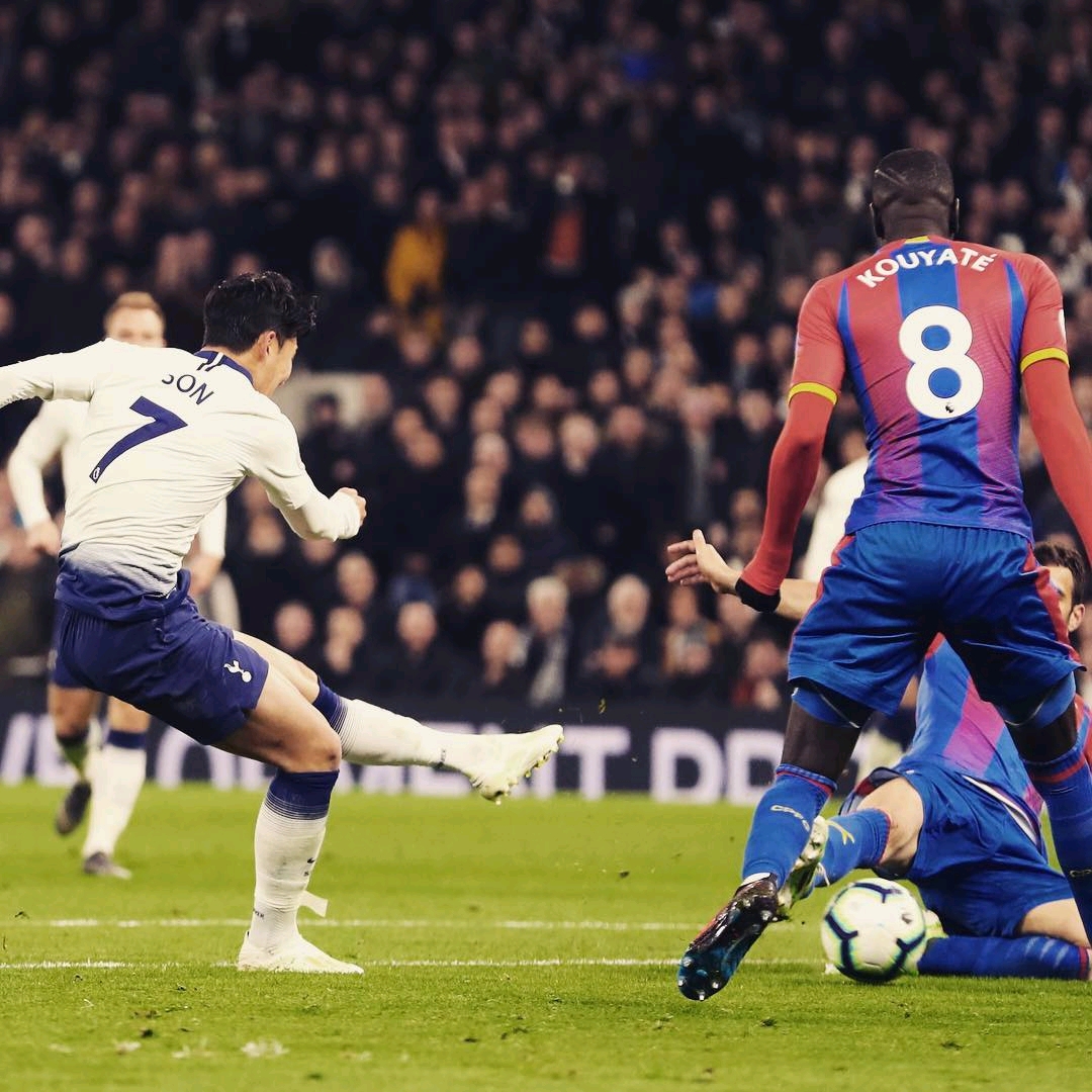 的职业赛场 的职业赛场